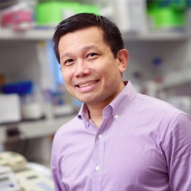 Vladimir P. Bermudez, Ph.D., PMP Associate Director, Columbia Initiative in Cell Engineering and Therapy Columbia University Irving Medical